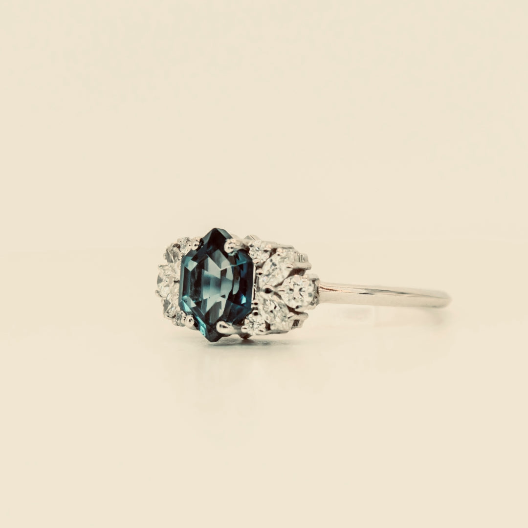 ANILLO CEIBO